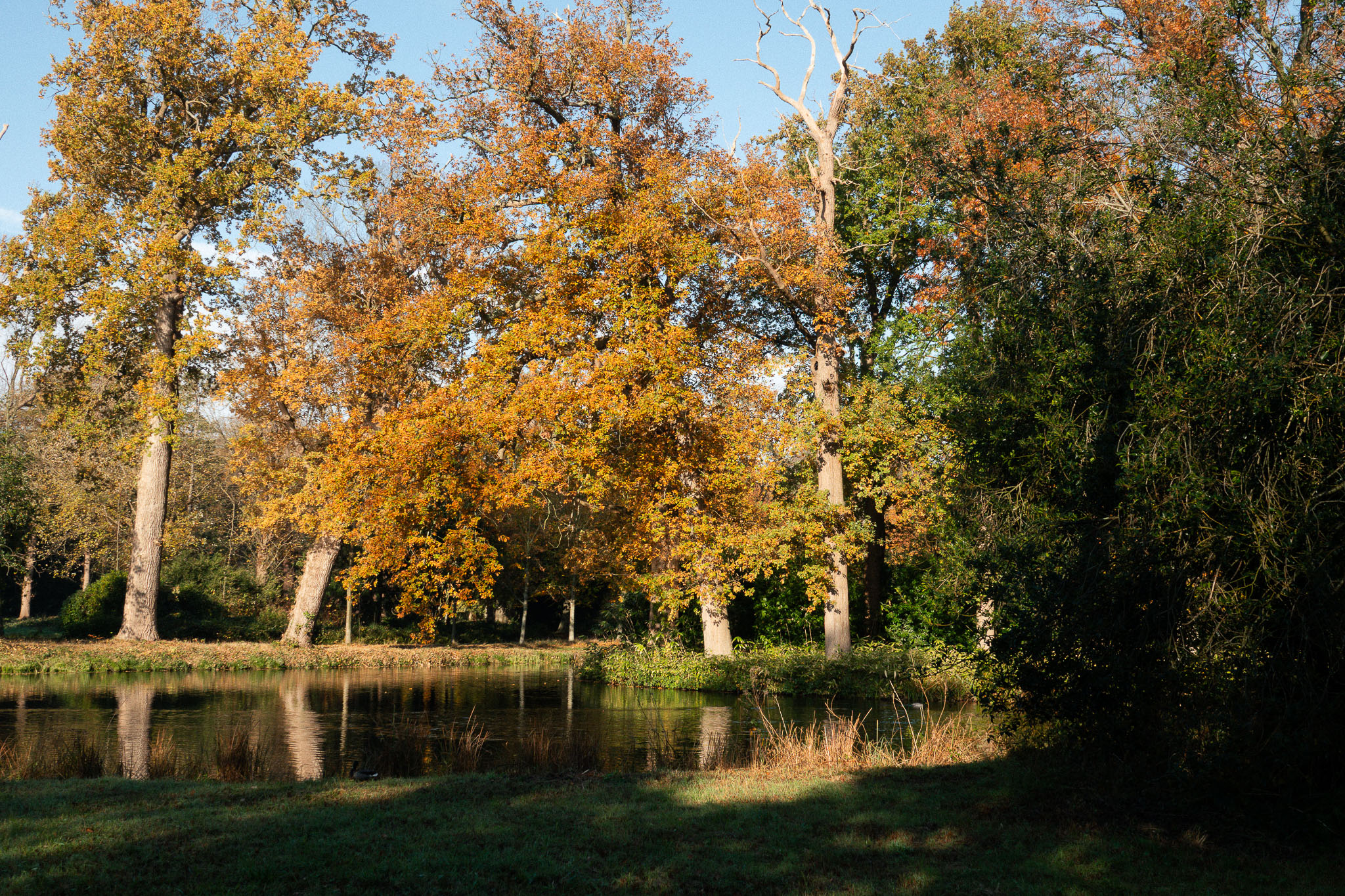 20251108   Huys te Warmond met Brigitte   005